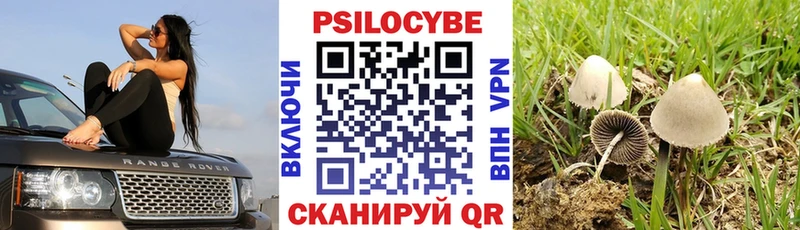 хочу   Сальск  Галлюциногенные грибы ЛСД 